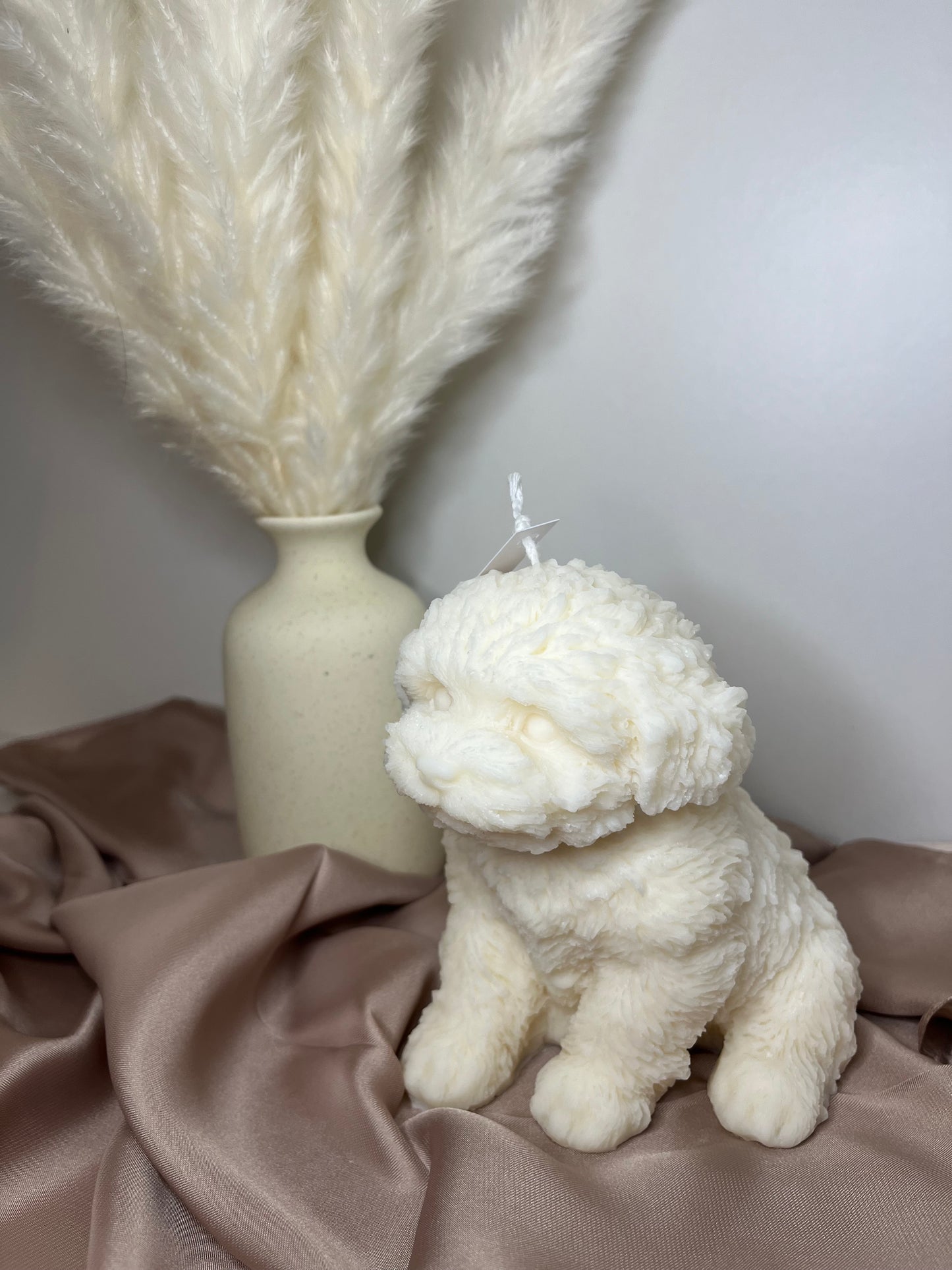 Maltipoo