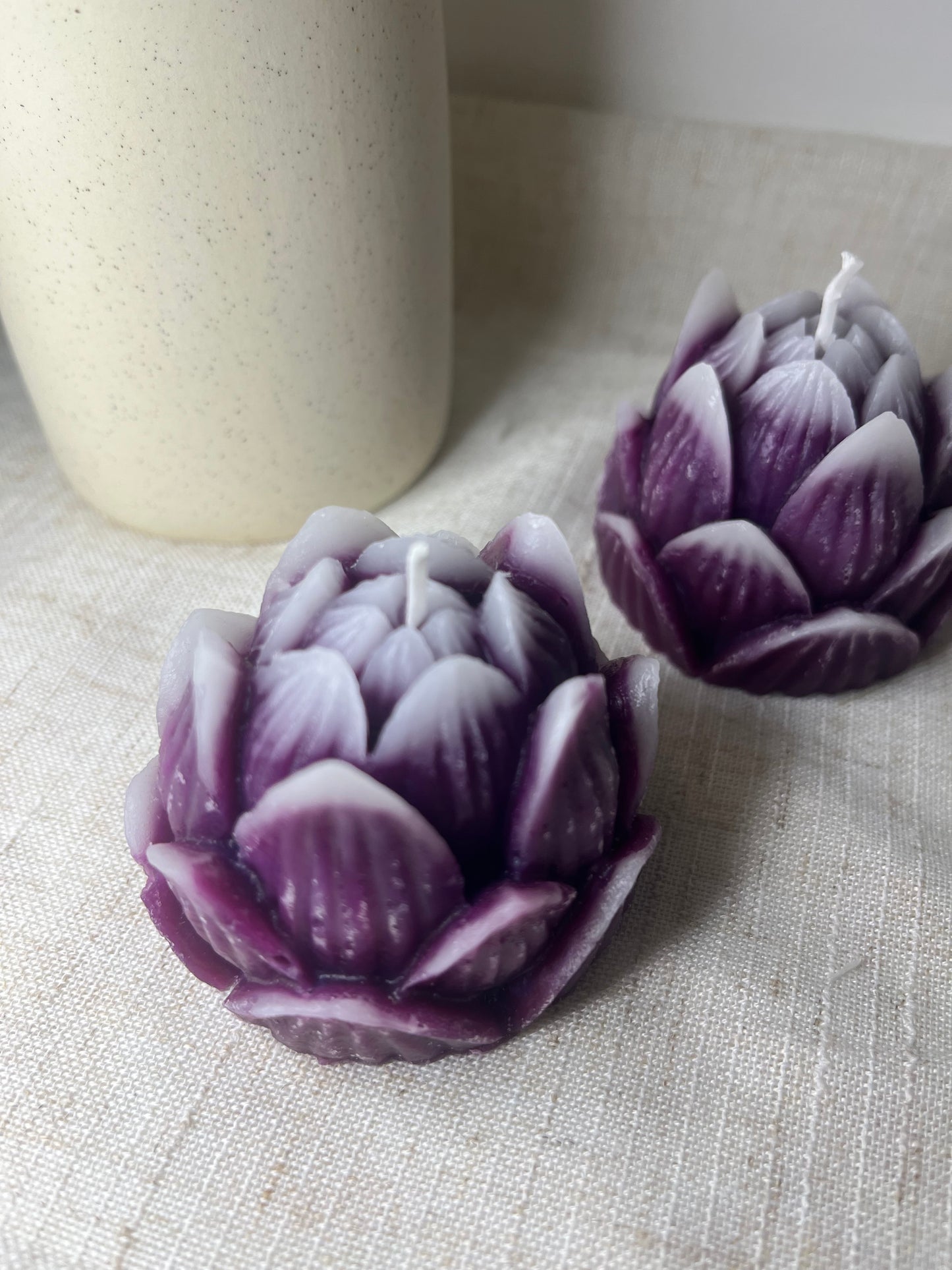 Lotusblüte violett-weiss