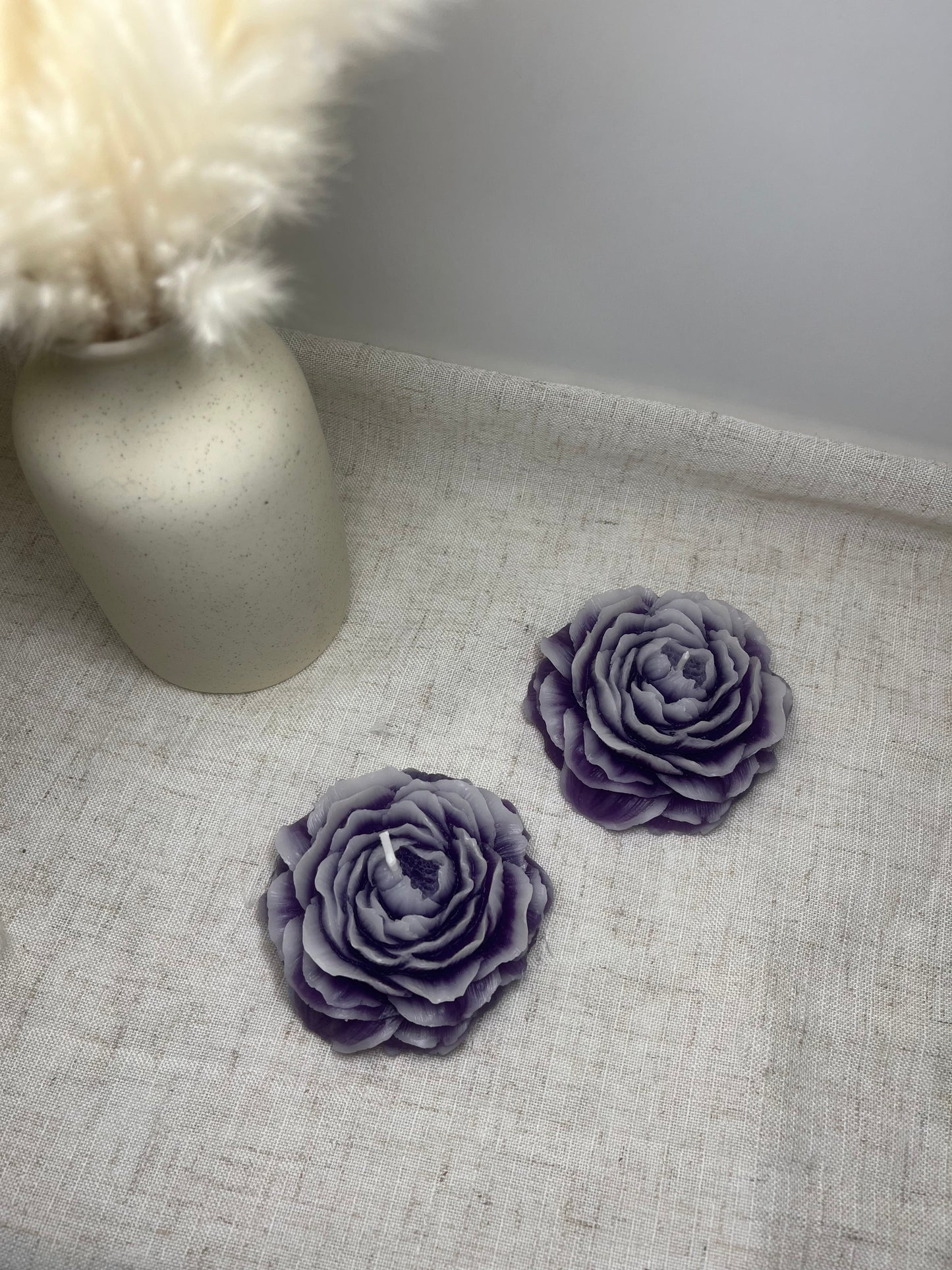 Pfingstrose violett-weiss