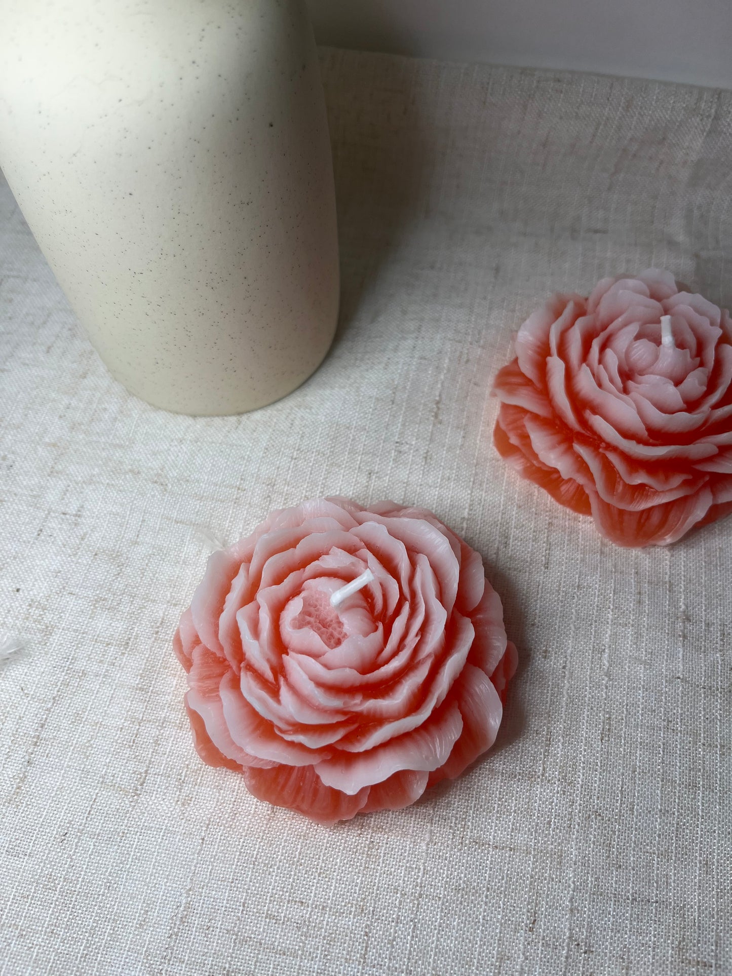 Pfingstrose orange-weiss
