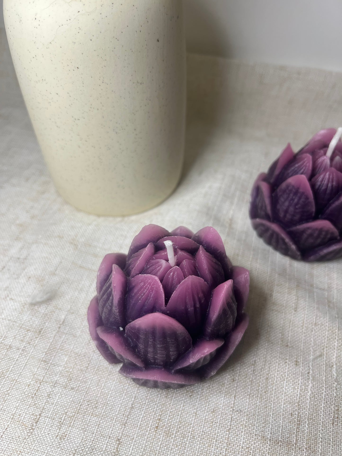 Lotusblüte violett-pink