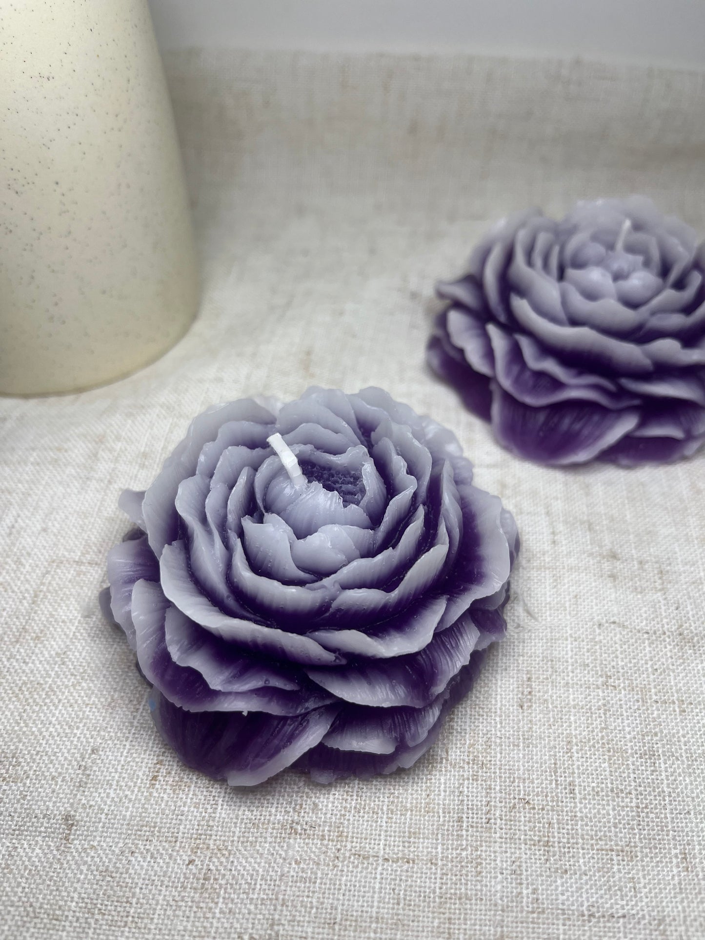 Pfingstrose violett-weiss
