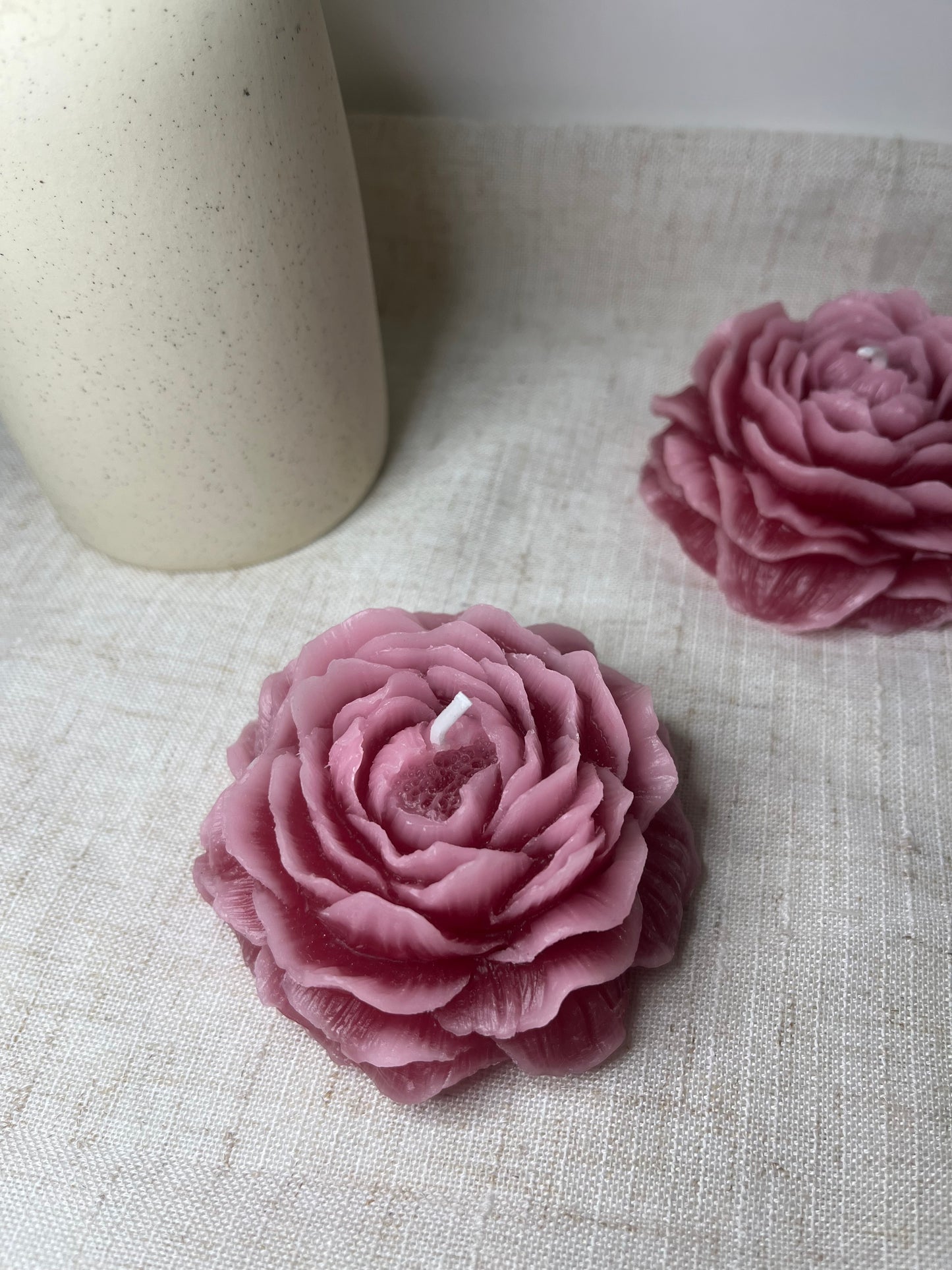 Pfingstrose dunkelrose-rosa