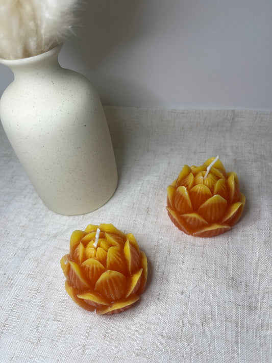 Lotusblüte orange-gelb