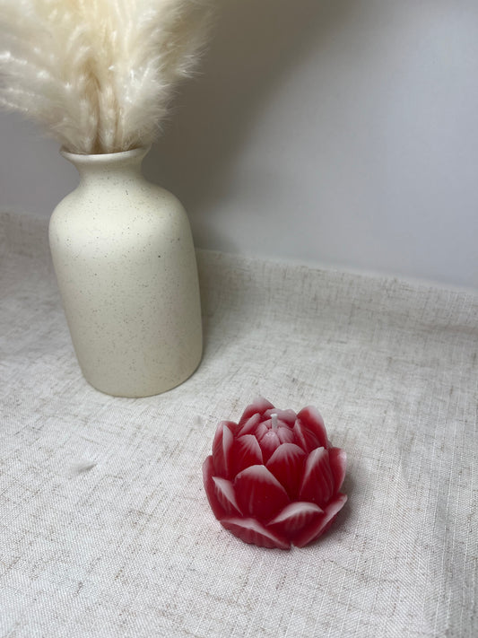 Lotusblüte/Pfingstrose rot-weiss