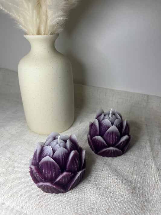 Lotusblüte violett-weiss