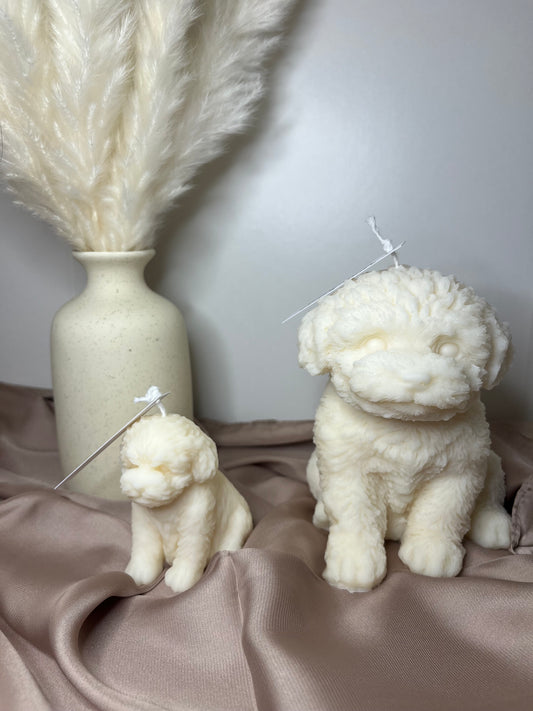 Maltipoo